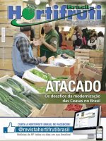 Challenges of wholesales modernization in Brazil